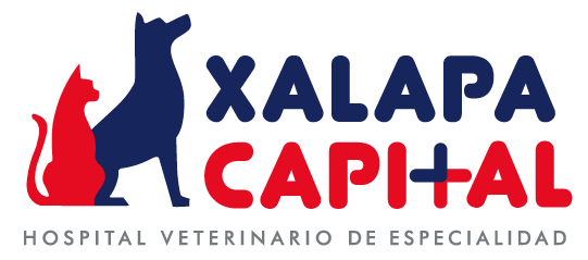 HVE Xalapa Capital